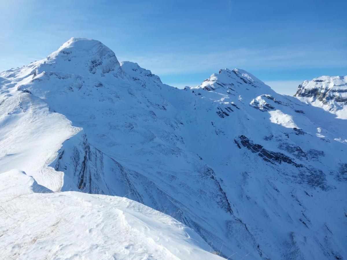 Aparthotel-Almgasthaus Gemsli - A Bisal Oesterreich Ueberm Schweizer Rheintal Sevelen Esterno foto